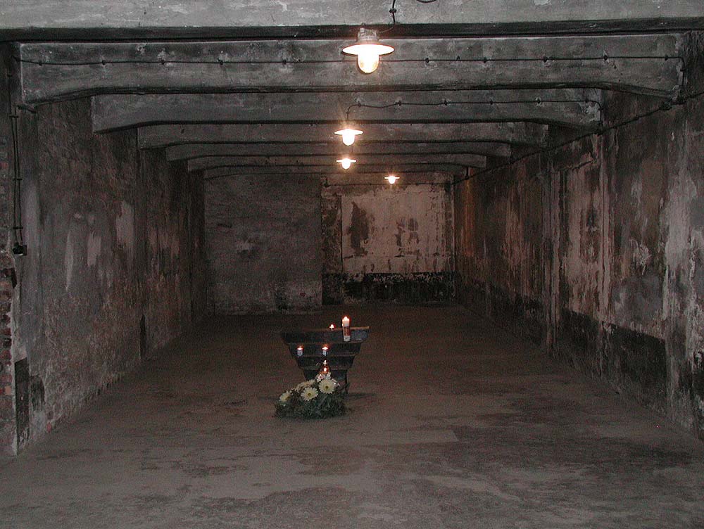 german gas chambers
